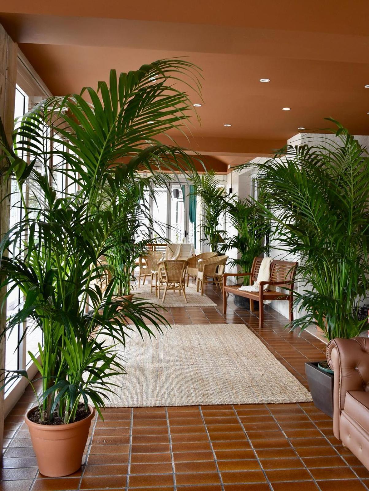 Hotel Portofino Лидо ди Йезоло Екстериор снимка